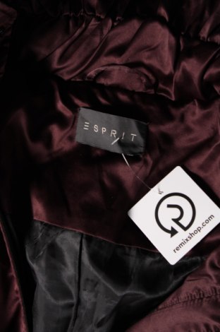 Dámska bunda  Esprit, Veľkosť M, Farba Hnedá, Cena  23,39 €