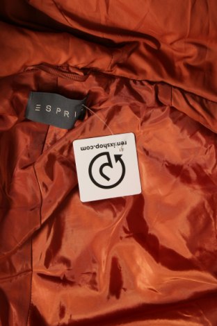 Dámská bunda  Esprit, Velikost S, Barva Hnědá, Cena  682,00 Kč