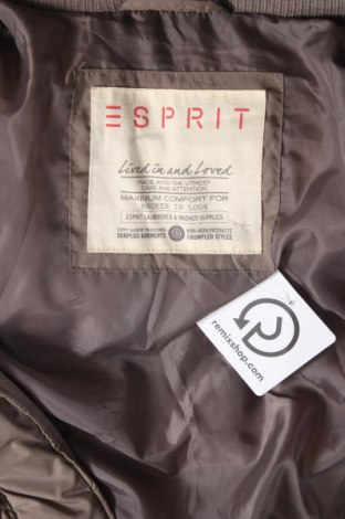 Damenjacke Esprit, Größe XL, Farbe Braun, Preis 30,79 €