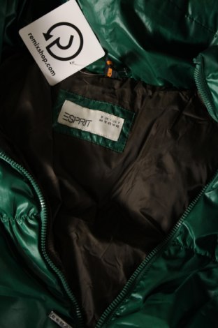 Γυναικείο μπουφάν Esprit, Μέγεθος XL, Χρώμα Πράσινο, Τιμή 27,37 €