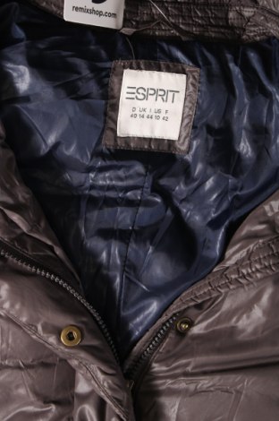Γυναικείο μπουφάν Esprit, Μέγεθος M, Χρώμα Γκρί, Τιμή 25,05 €