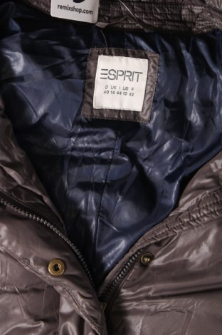 Damenjacke Esprit, Größe M, Farbe Grau, Preis 10,99 €