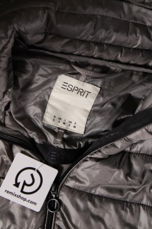 Дамско яке Esprit, Размер S, Цвят Сив, Цена 40,50 лв.