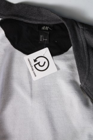 Dámska bunda  H&M, Veľkosť L, Farba Sivá, Cena  6,81 €