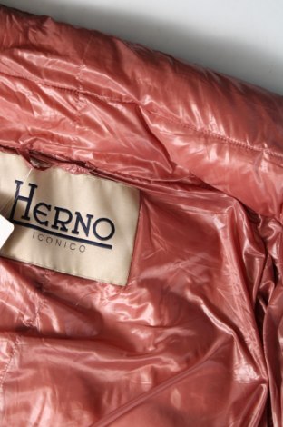 Дамско яке Herno, Размер XL, Цвят Розов, Цена 178,00 лв.