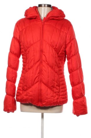 Damenjacke Livre, Größe XL, Farbe Rot, Preis € 23,81