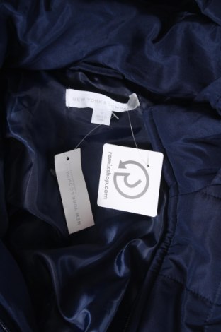 Dámska bunda  New York & Company, Veľkosť M, Farba Modrá, Cena  39,80 €