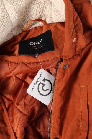 Dámska bunda  ONLY, Veľkosť XL, Farba Oranžová, Cena  10,75 €