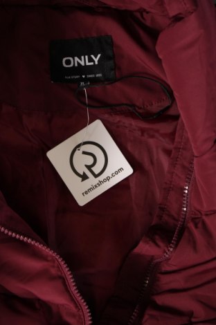 Dámska bunda  ONLY, Veľkosť XL, Farba Červená, Cena  19,18 €