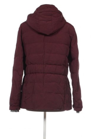 Damenjacke Tom Tailor, Größe XXL, Farbe Rot, Preis 31,31 €