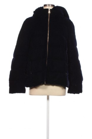 Damenjacke Zara, Größe XL, Farbe Blau, Preis 28,53 €