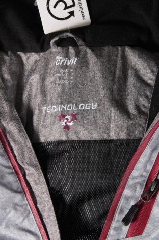 Dámská bunda pro zimní sporty  Crivit, Velikost L, Barva Šedá, Cena  485,00 Kč