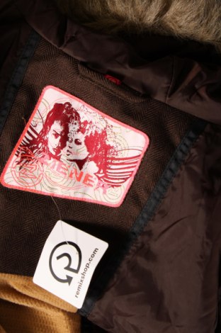 Damenjacke für Wintersports Ziener, Größe XS, Farbe Braun, Preis 116,49 €