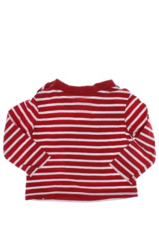 Kinder Shirt, Größe 3-6m/ 62-68 cm, Farbe Rot, Preis 3,43 €