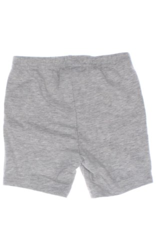 Kinder Shorts Carter's, Größe 6-9m/ 68-74 cm, Farbe Grau, Preis € 4,54