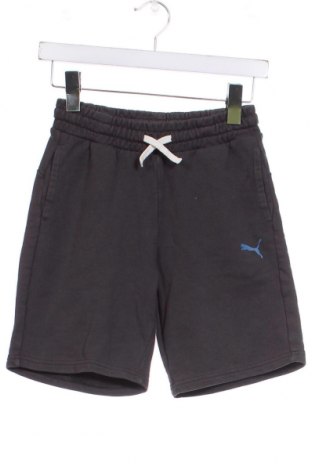 Kinder Shorts PUMA, Größe 10-11y/ 146-152 cm, Farbe Grau, Preis 14,44 €