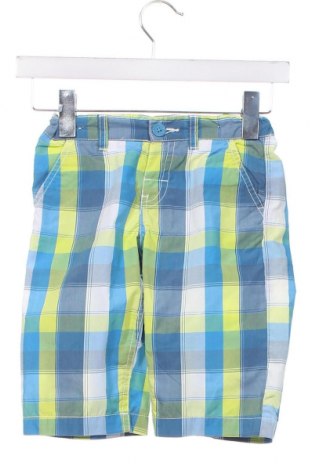 Kinder Shorts Palomino, Größe 5-6y/ 116-122 cm, Farbe Mehrfarbig, Preis 8,00 €