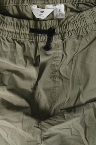 Детски панталон H&M, Размер 13-14y/ 164-168 см, Цвят Зелен, Цена 9,45 лв.