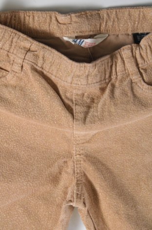 Dětské kalhoty  H&M, Velikost 7-8y/ 128-134 cm, Barva Hnědá, Cena  152,00 Kč