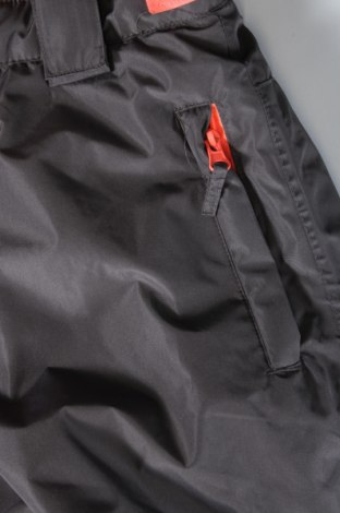 Παιδικό παντελόνι για χειμερινά σπορ, Μέγεθος 9-10y/ 140-146 εκ., Χρώμα Γκρί, Τιμή 16,79 €