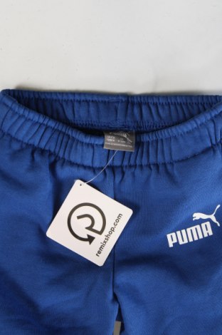 Dětská horní část sportovní soupravy PUMA, Velikost 12-18m/ 80-86 cm, Barva Modrá, Cena  616,00 Kč