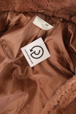 Παιδικό μπουφάν H&M, Μέγεθος 4-5y/ 110-116 εκ., Χρώμα  Μπέζ, Τιμή 13,50 €