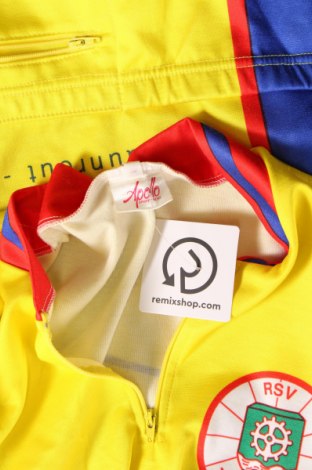 Ανδρική μπλούζα Apollo, Μέγεθος L, Χρώμα Κίτρινο, Τιμή 4,64 €