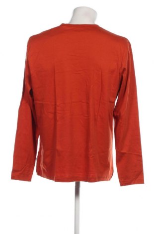 Herren Shirt Calida, Größe XL, Farbe Orange, Preis € 52,89