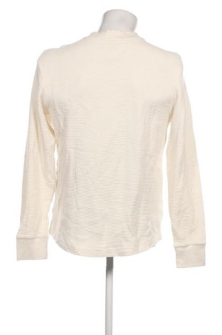 Ανδρική μπλούζα Calvin Klein Jeans, Μέγεθος M, Χρώμα Εκρού, Τιμή 45,54 €