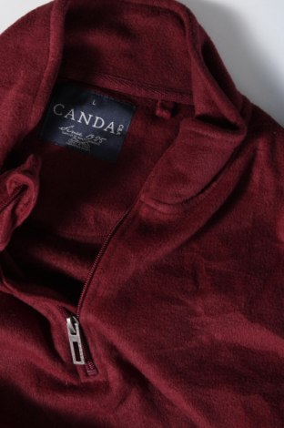 Ανδρική μπλούζα Canda, Μέγεθος L, Χρώμα Κόκκινο, Τιμή 6,46 €
