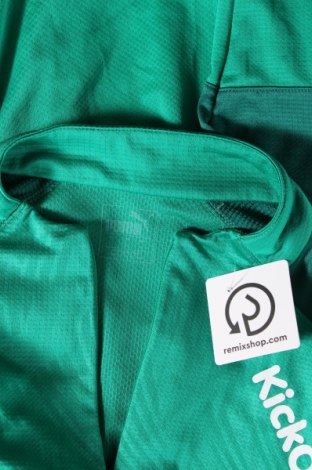 Herren Shirt PUMA, Größe L, Farbe Grün, Preis 21,29 €
