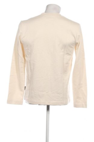 Herren Shirt Tom Tailor, Größe S, Farbe Ecru, Preis 15,98 €