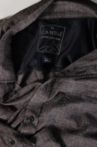 Pánska košeľa  Canda, Veľkosť XL, Farba Sivá, Cena  8,55 €