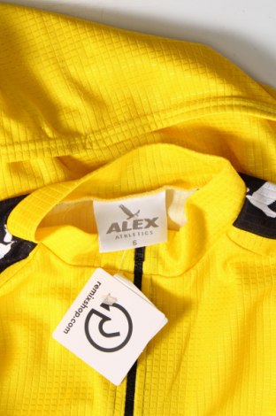 Pánské tričko  ALEX, Velikost XL, Barva Žlutá, Cena  197,00 Kč