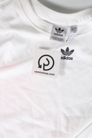 Ανδρικό t-shirt Adidas, Μέγεθος M, Χρώμα Λευκό, Τιμή 30,36 €