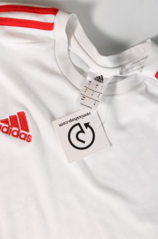 Herren T-Shirt Adidas, Größe S, Farbe Weiß, Preis € 18,79