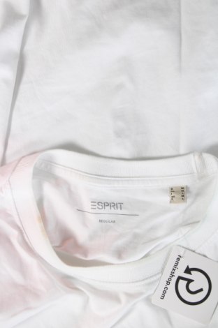 Herren T-Shirt Esprit, Größe M, Farbe Weiß, Preis 15,98 €