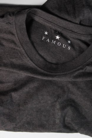 Pánske tričko  Famous, Veľkosť L, Farba Sivá, Cena  7,90 €