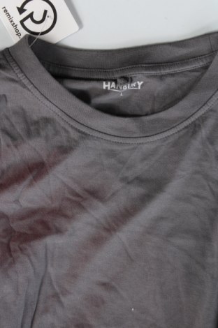 Ανδρικό t-shirt Hanbury, Μέγεθος L, Χρώμα Γκρί, Τιμή 6,83 €