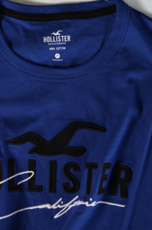 Herren T-Shirt Hollister, Größe M, Farbe Blau, Preis € 15,98