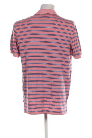 Herren T-Shirt Izod, Größe L, Farbe Mehrfarbig, Preis € 14,61