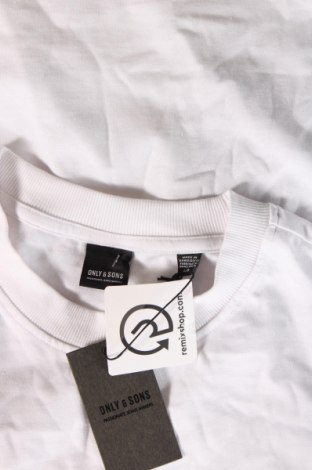 Herren T-Shirt Only & Sons, Größe L, Farbe Weiß, Preis 7,03 €