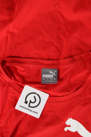 Herren T-Shirt PUMA, Größe L, Farbe Rot, Preis 18,49 €