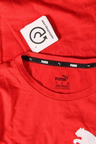 Pánské tričko  PUMA, Velikost M, Barva Červená, Cena  430,00 Kč