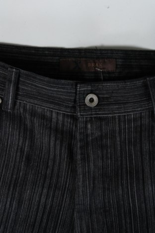 Herren Jeans Brax, Größe L, Farbe Mehrfarbig, Preis € 26,10