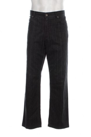Herren Jeans Brax, Größe L, Farbe Mehrfarbig, Preis 23,49 €