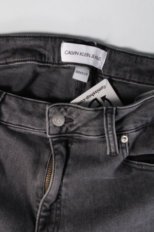 Herren Jeans Calvin Klein Jeans, Größe L, Farbe Grau, Preis 67,47 €