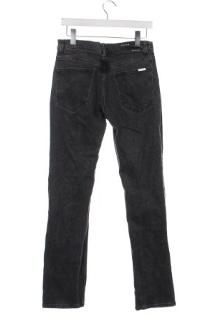 Herren Jeans Review, Größe S, Farbe Grau, Preis € 9,99