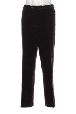 Ανδρικό κοτλέ παντελόνι Bruhl, Μέγεθος XL, Χρώμα Καφέ, Τιμή 19,18 €