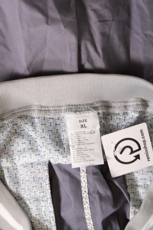 Ανδρικό κοντό παντελόνι, Μέγεθος XL, Χρώμα Γκρί, Τιμή 14,69 €